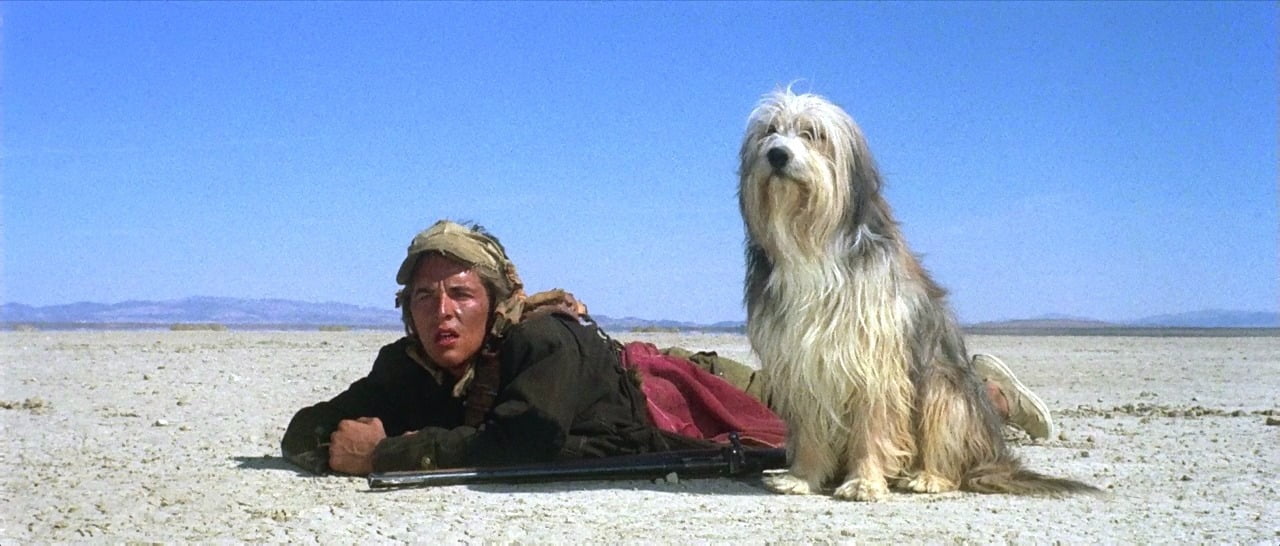A Boy and His Dog (1975)