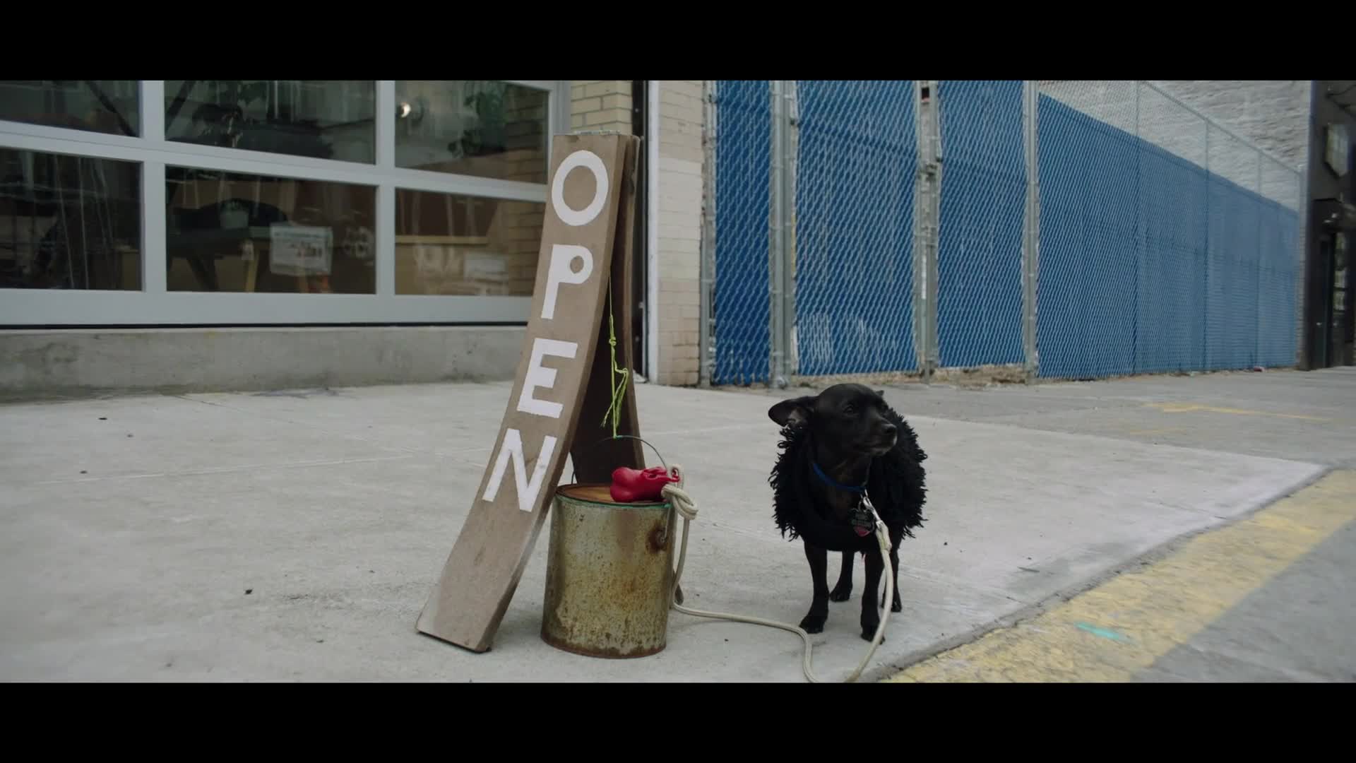 The Dog Thief (2019): A Profound Film that Explores the Depths of Desperation