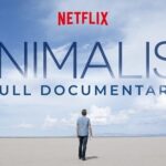 Minimalism: A Documentary About the Important Things (2015)